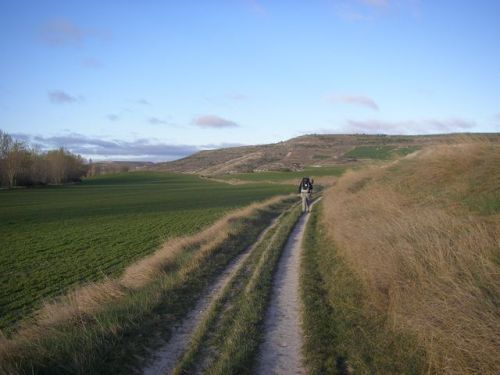 Camino Hontanas - Fromista