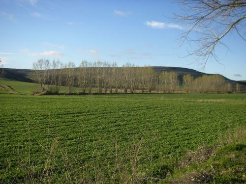 Camino Hontanas - Fromista