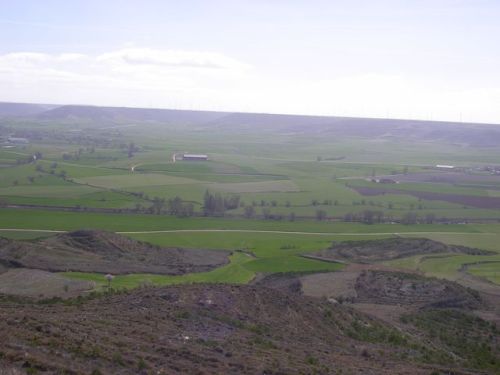 Camino Hontanas - Fromista