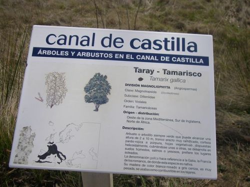 Canal de Castilla