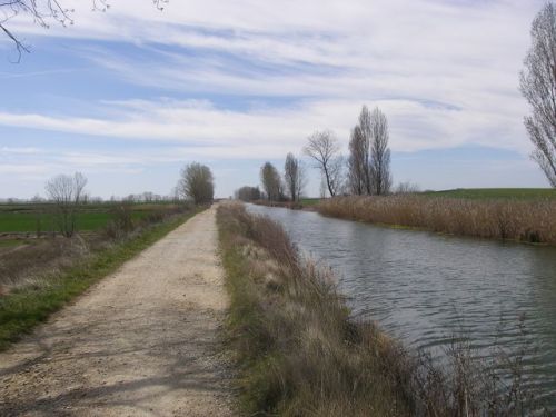 Camino Hontanas - Fromista
