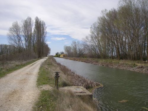 Camino Hontanas - Fromista