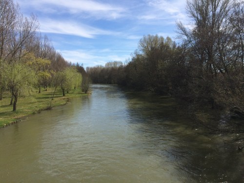 Carrión de los Condes. Río Carrión