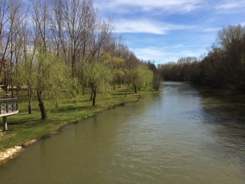 Carrióin de los Condes.