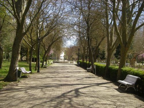 Carrióin de los Condes.