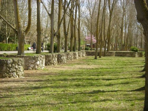 Carrióin de los Condes.