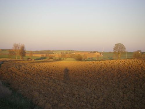 De Terradillos de los Templarios a Burgo Ranero