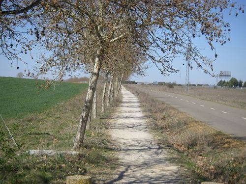 De Terradillos de los Templarios a Burgo Ranero