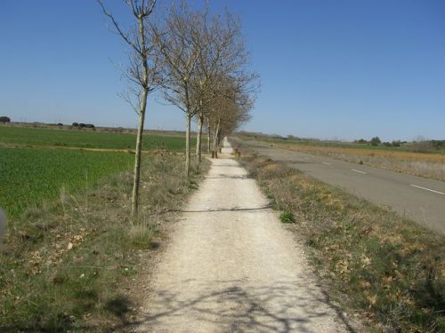 De Terradillos de los Templarios a Burgo Ranero