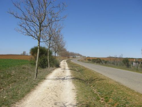 De Terradillos de los Templarios a Burgo Ranero