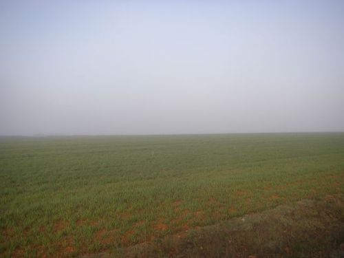 Camino de Burgo Ranero a Mansilla de las Mulas