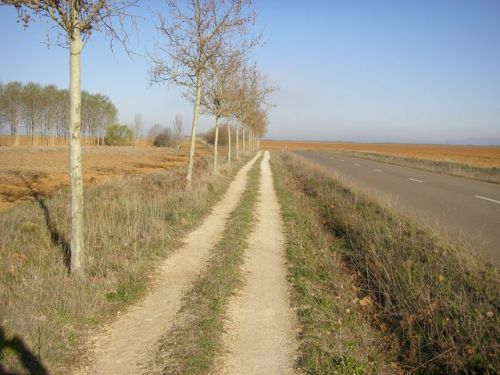 Camino de Burgo Ranero a Mansilla de las Mulas