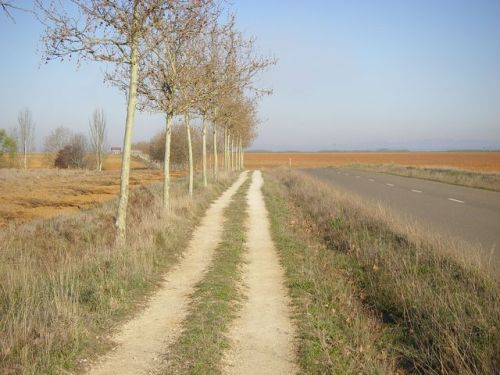 Camino de Burgo Ranero a Mansilla de las Mulas
