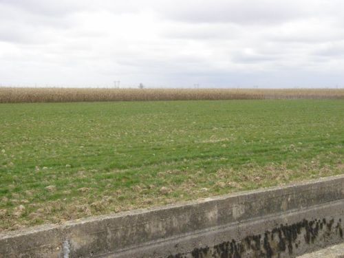 Camino a Hospital de Órbigo