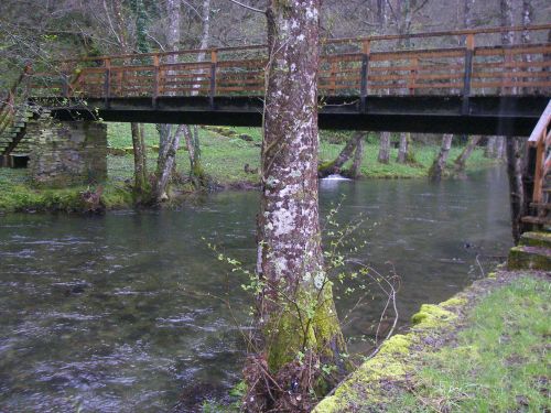 Samos-Sarria-Ferreiros. Etapa 27