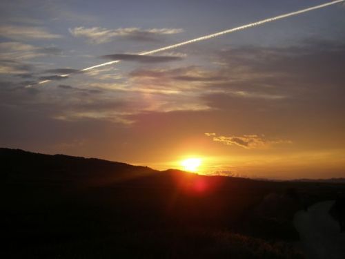 De Los Arcos a Logroño