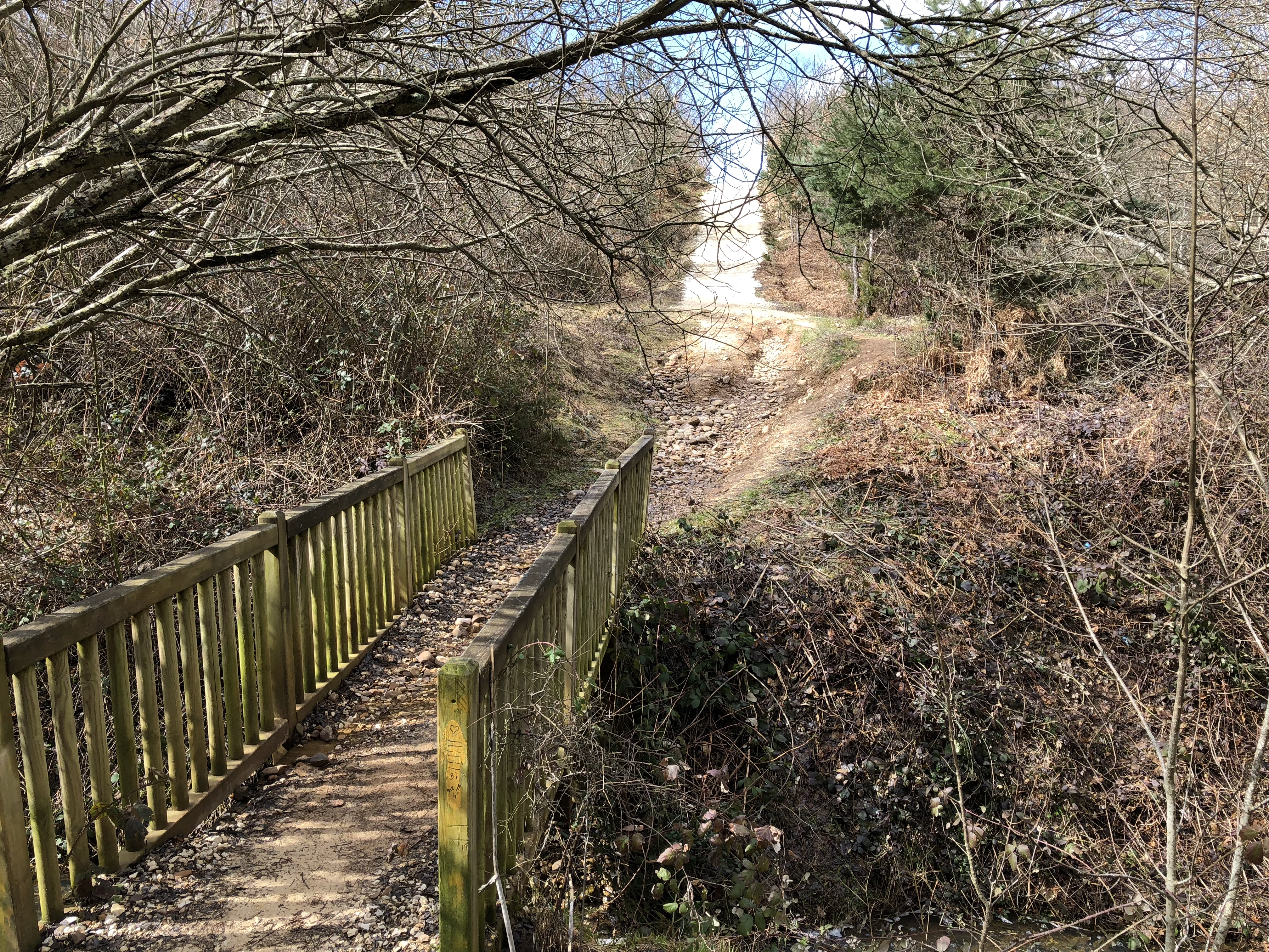 20180326_100015061_iOS