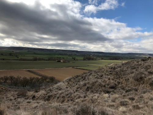 Hontanas a Fromista. Etapa 14