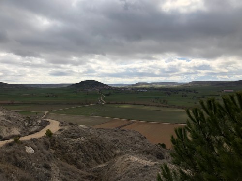 Hontanas a Fromista. Etapa 14