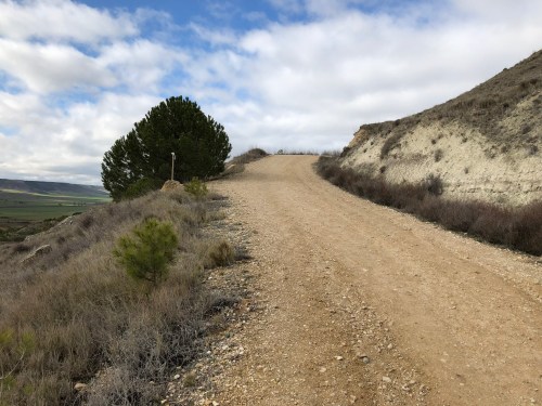 Hontanas a Fromista. Etapa 14