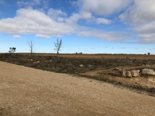 Hontanas a Fromista. Etapa 14