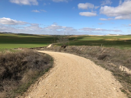 Hontanas a Fromista. Etapa 14