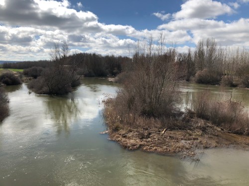 Hontanas a Fromista. Etapa 14