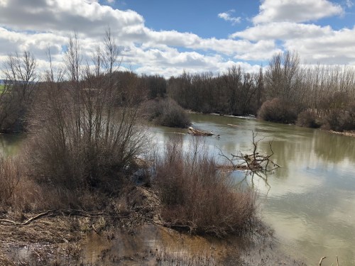 Hontanas a Fromista. Etapa 14