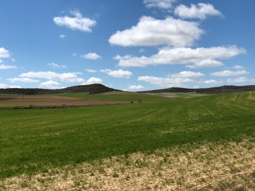 Hontanas a Fromista. Etapa 14