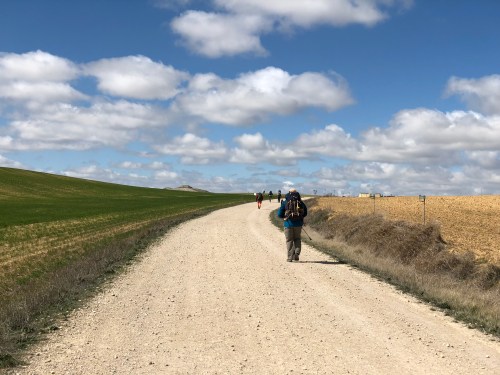 Hontanas a Fromista. Etapa 14