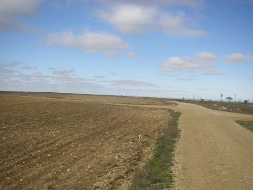 Hontanas a Fromista. Etapa 14