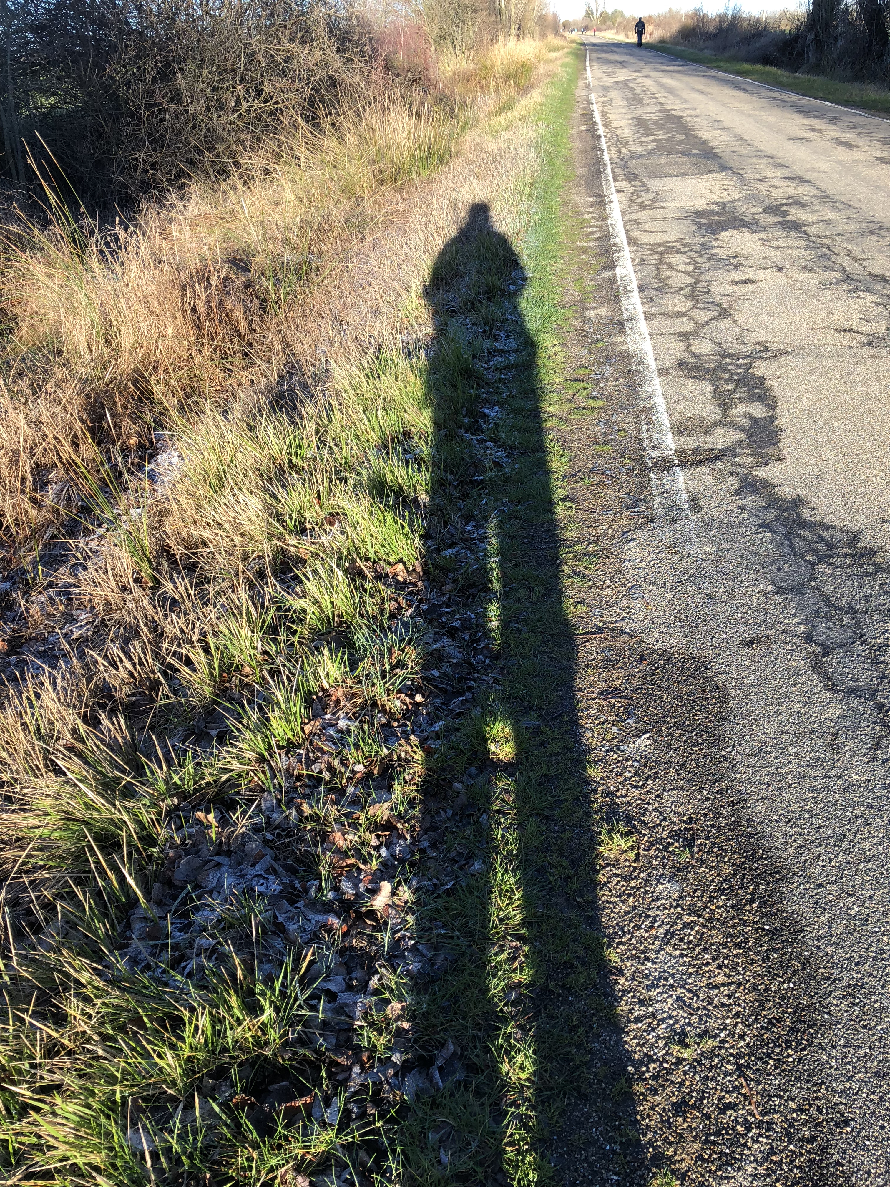 Carrión de los Condes - Sahagún
