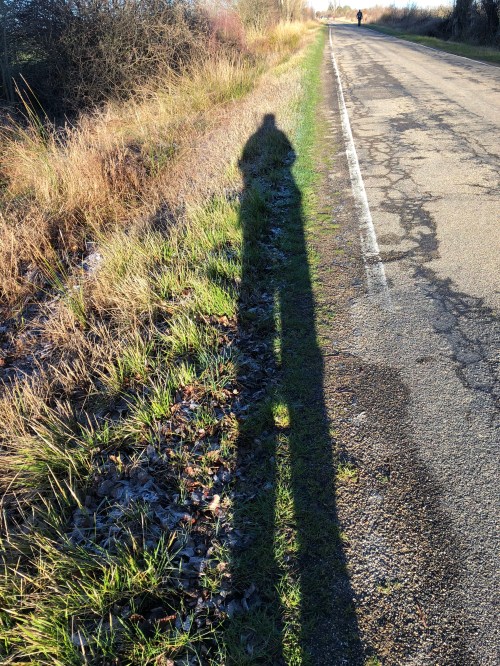 Carrión de los Condes - Sahagún