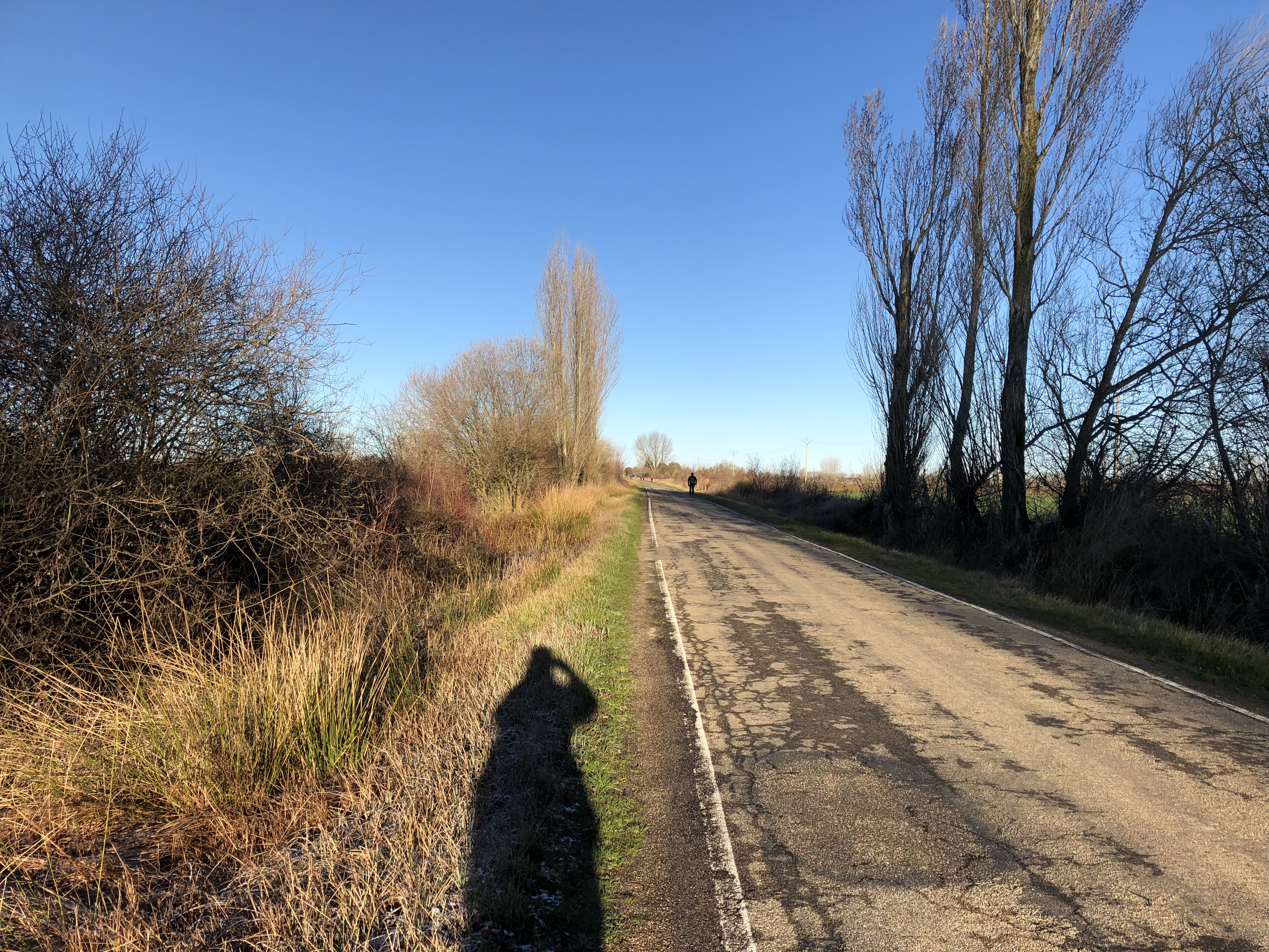 Agustín Vigo Morancho