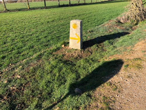 Carrión de los Condes - Sahagún