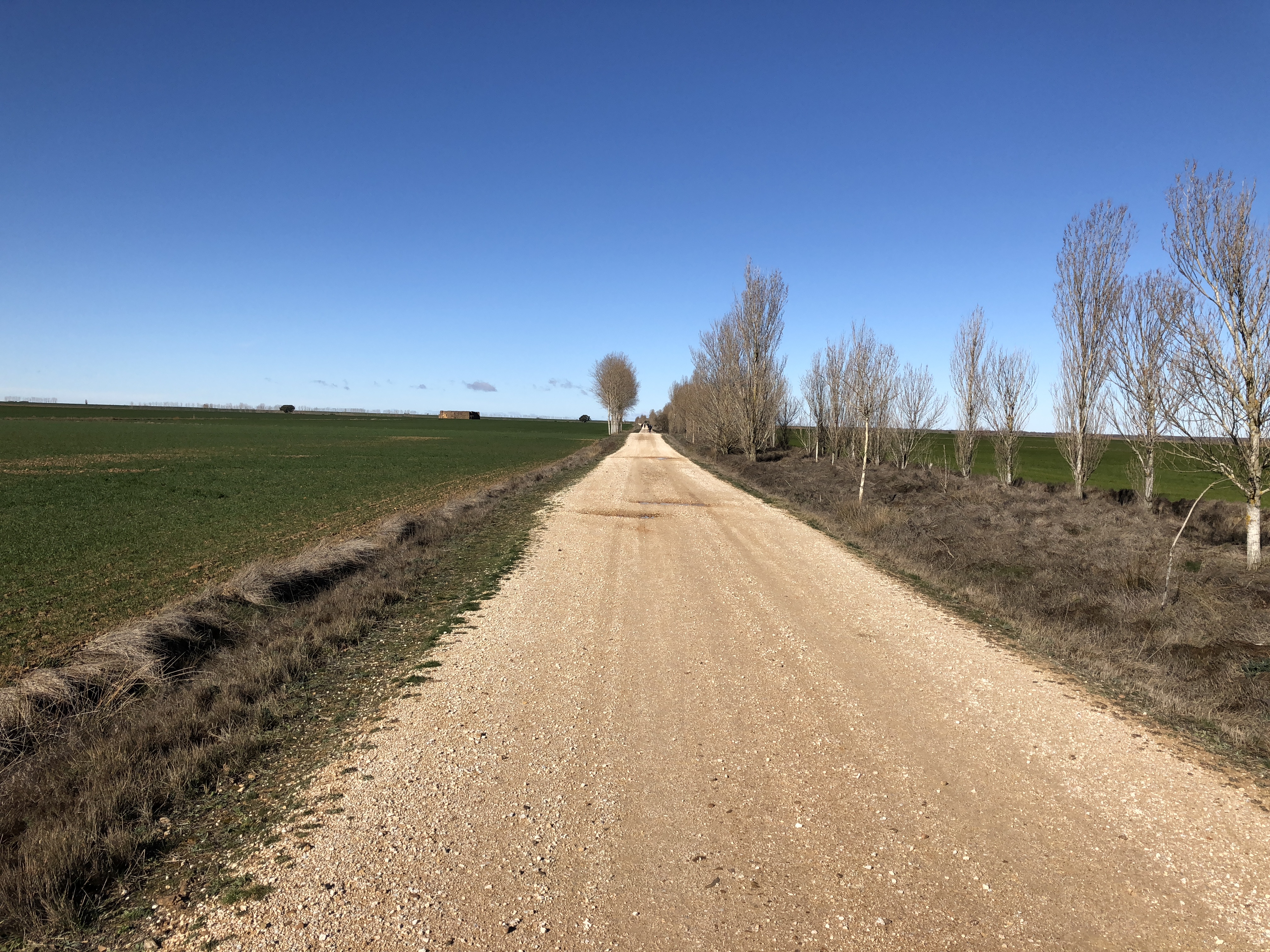 Agustin Vigo Morancho