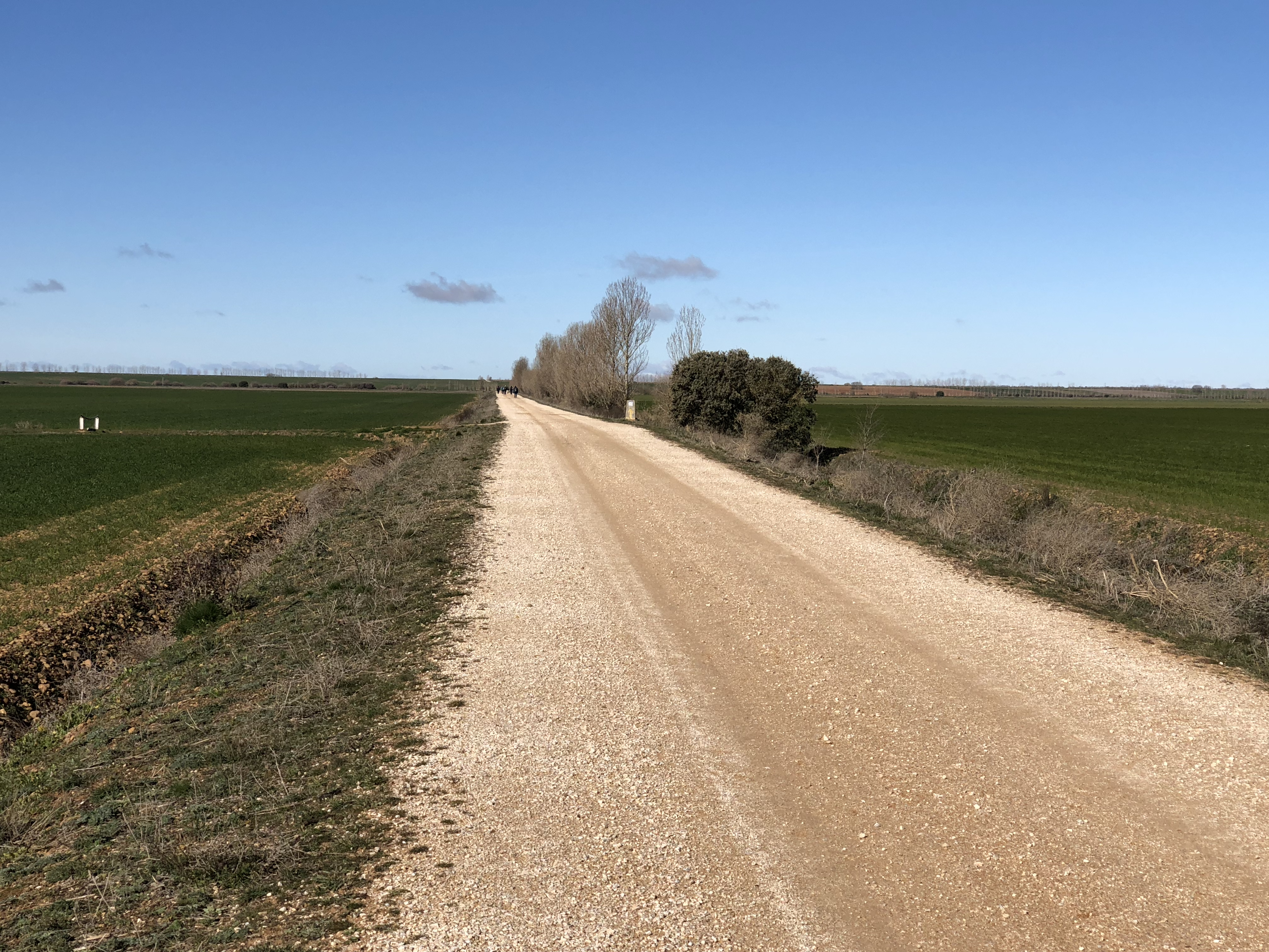 Agustín Vigo Morancho