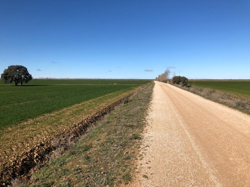 Carrión de los Condes - Sahagún