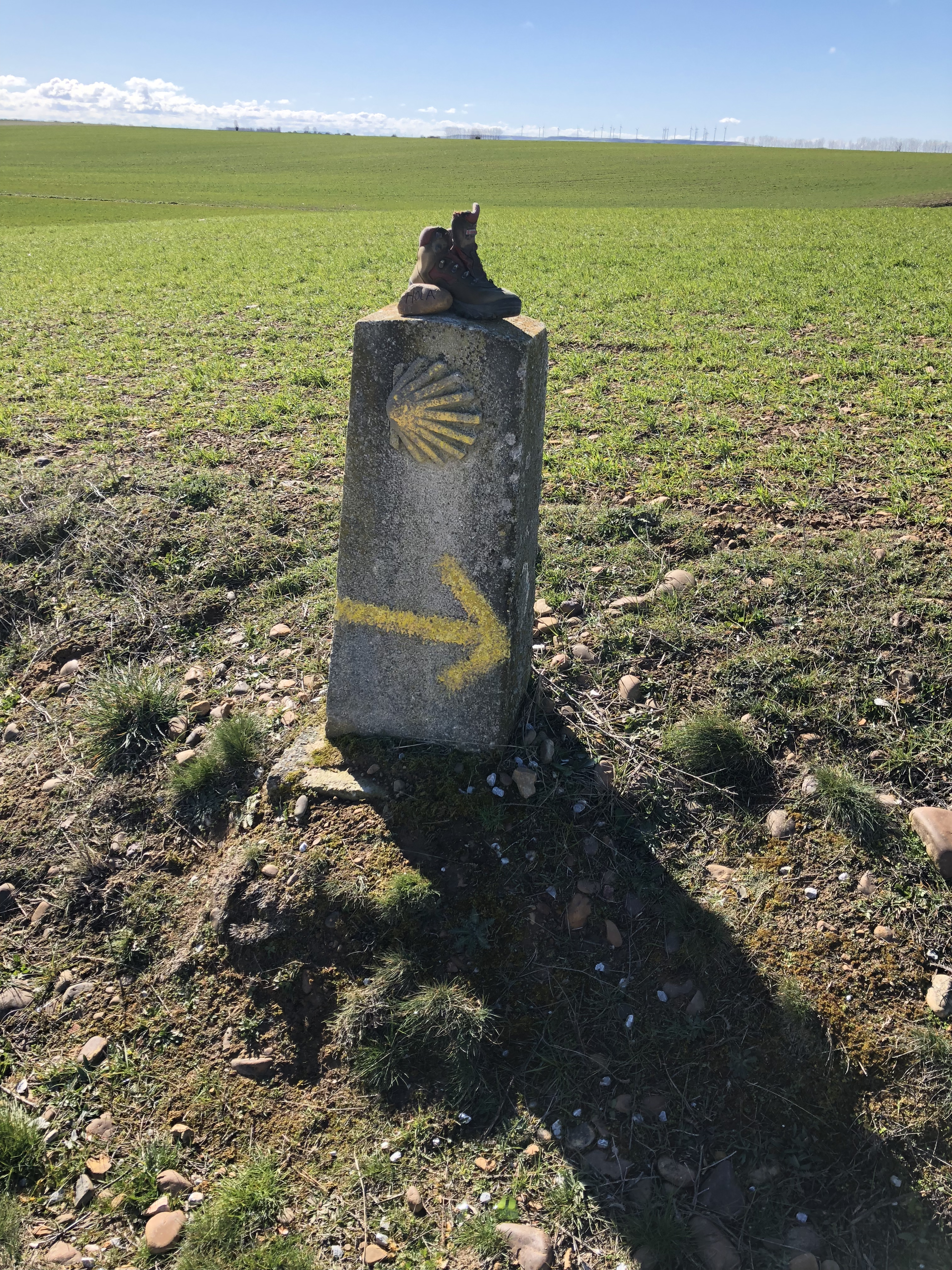 Carrión de los Condes - Sahagún