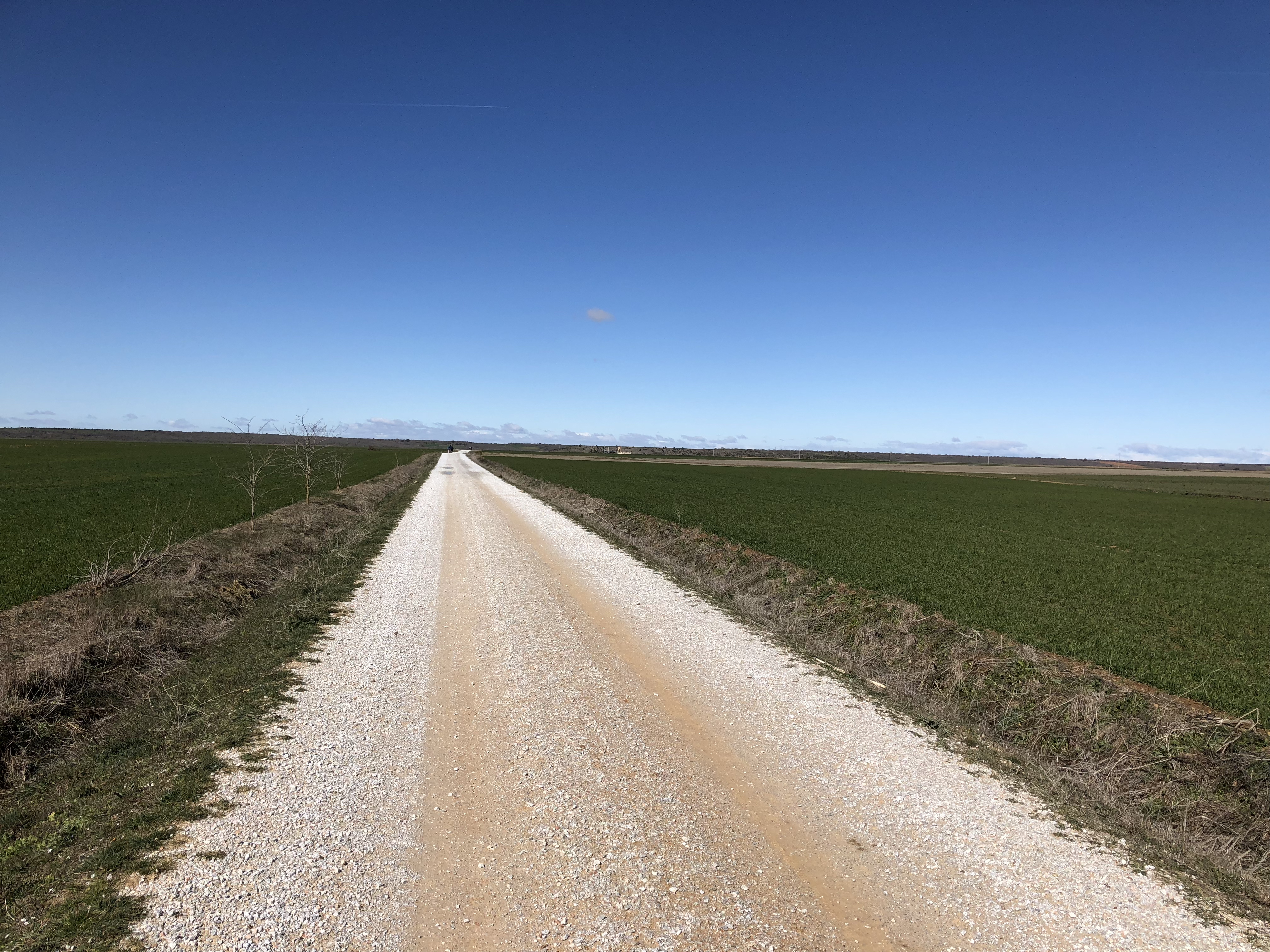 Agustín Vigo Morancho