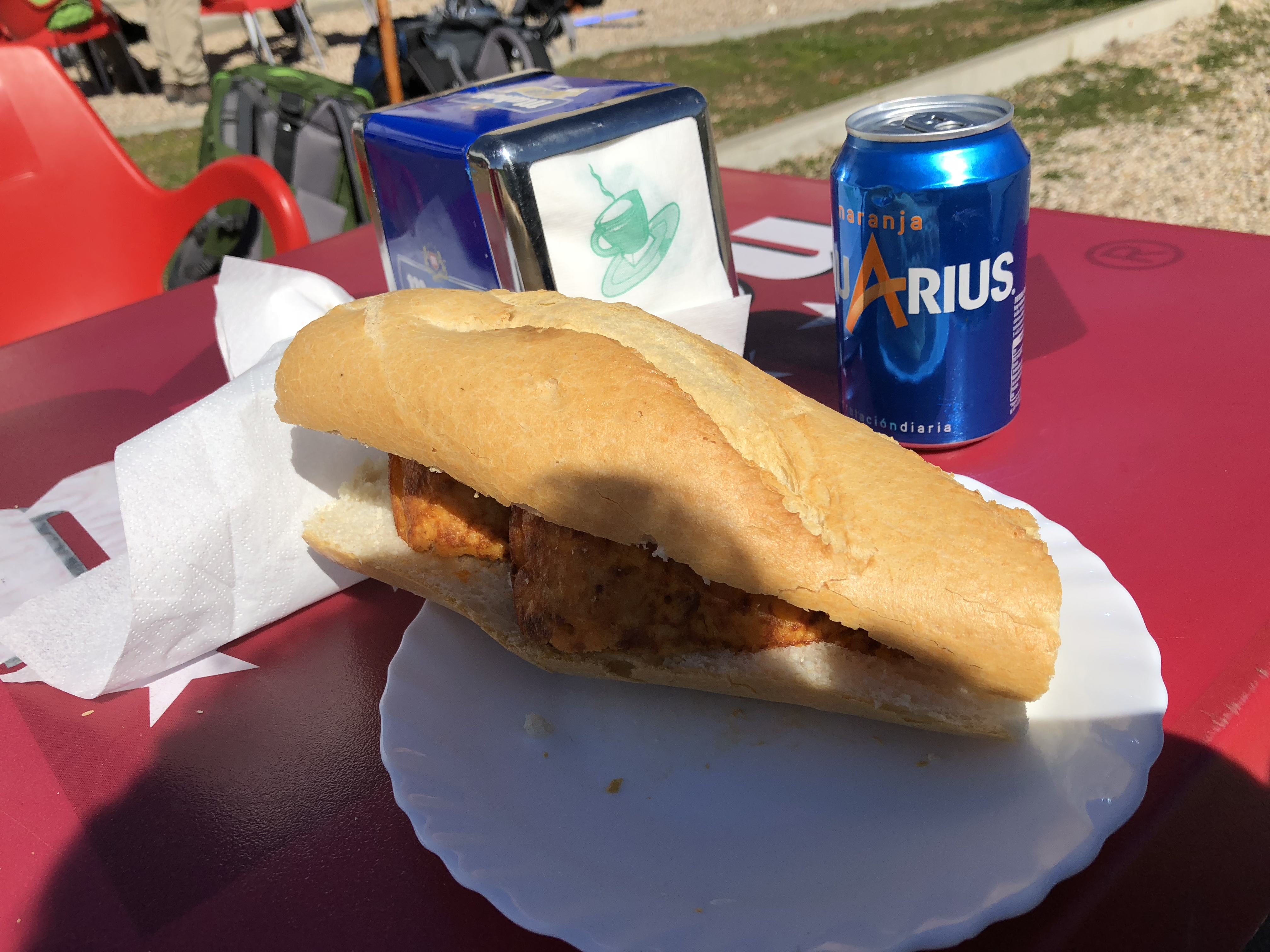 Carrión de los Condes - Sahagún