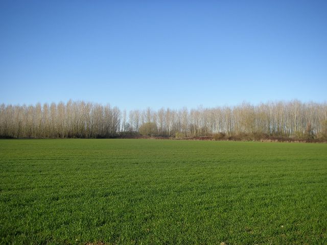 De Carrión de los Condes a Sahagún