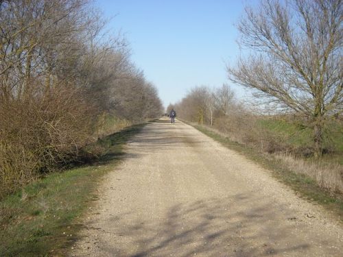 De Carrión de los Condes a Sahagún