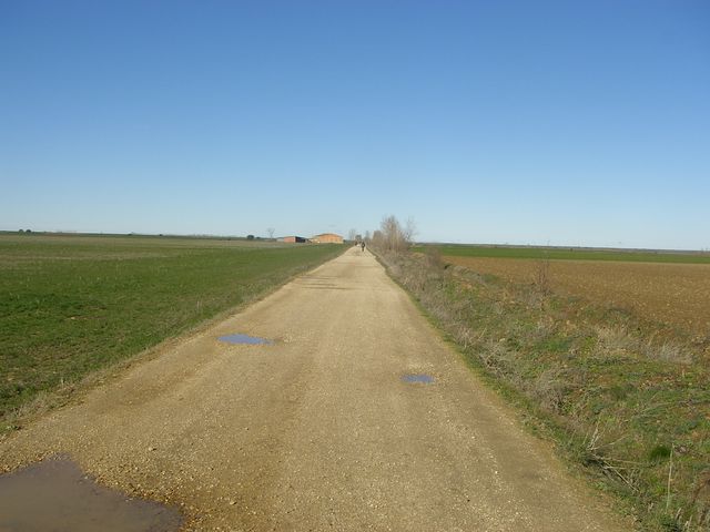 De Carrión de los Condes a Sahagún