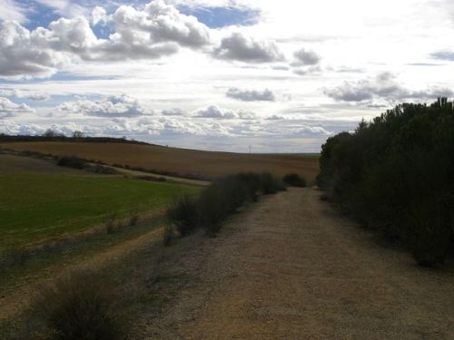 De Carrión de los Condes a Sahagún