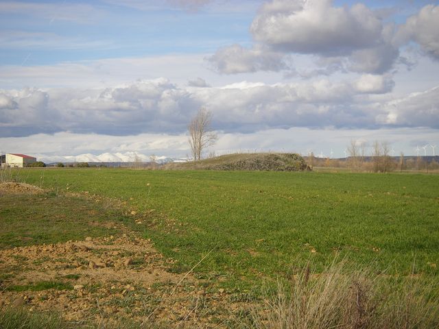 De Carrión de los Condes a Sahagún