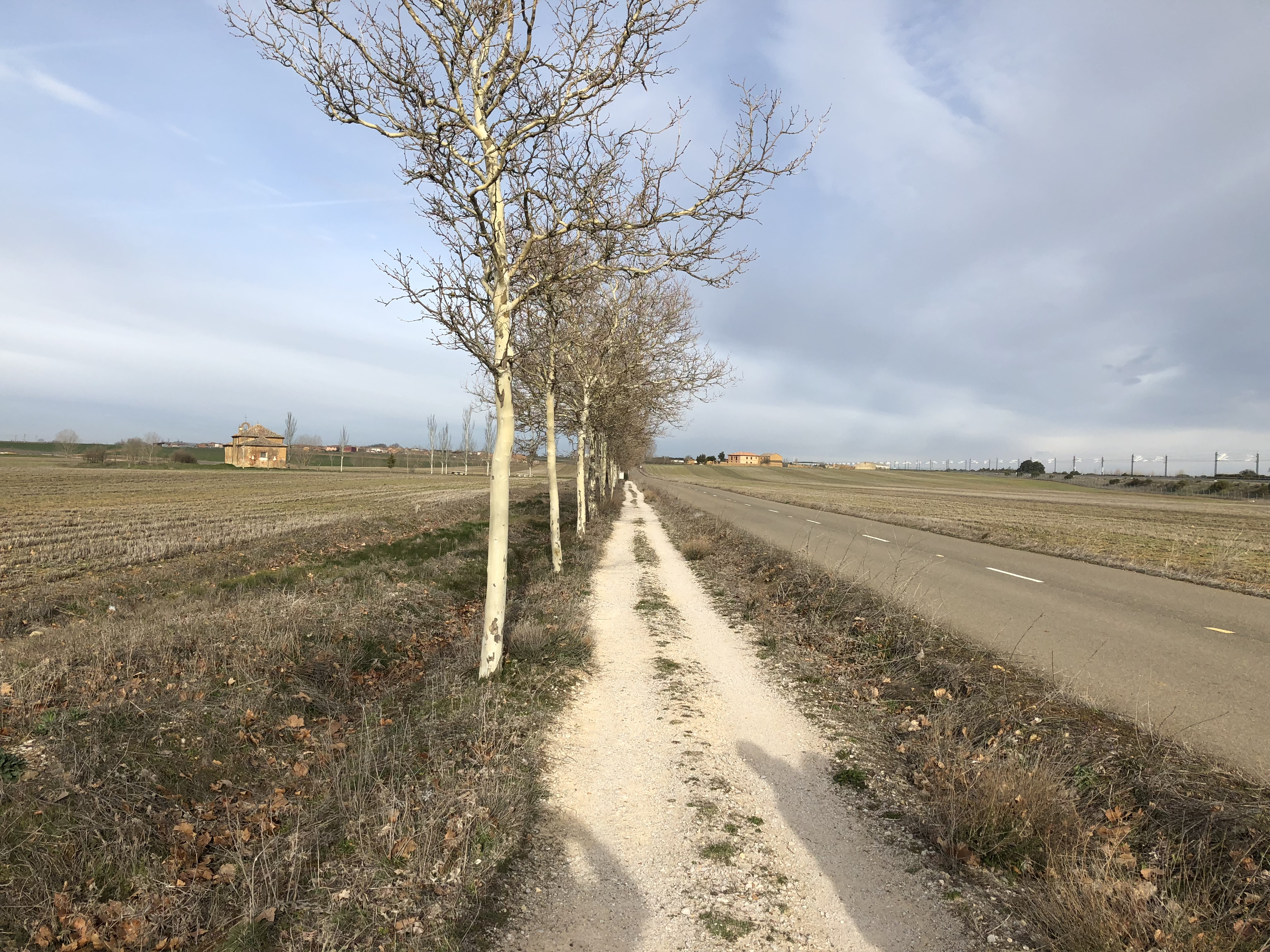 Camino a Mansilla de las Mulas