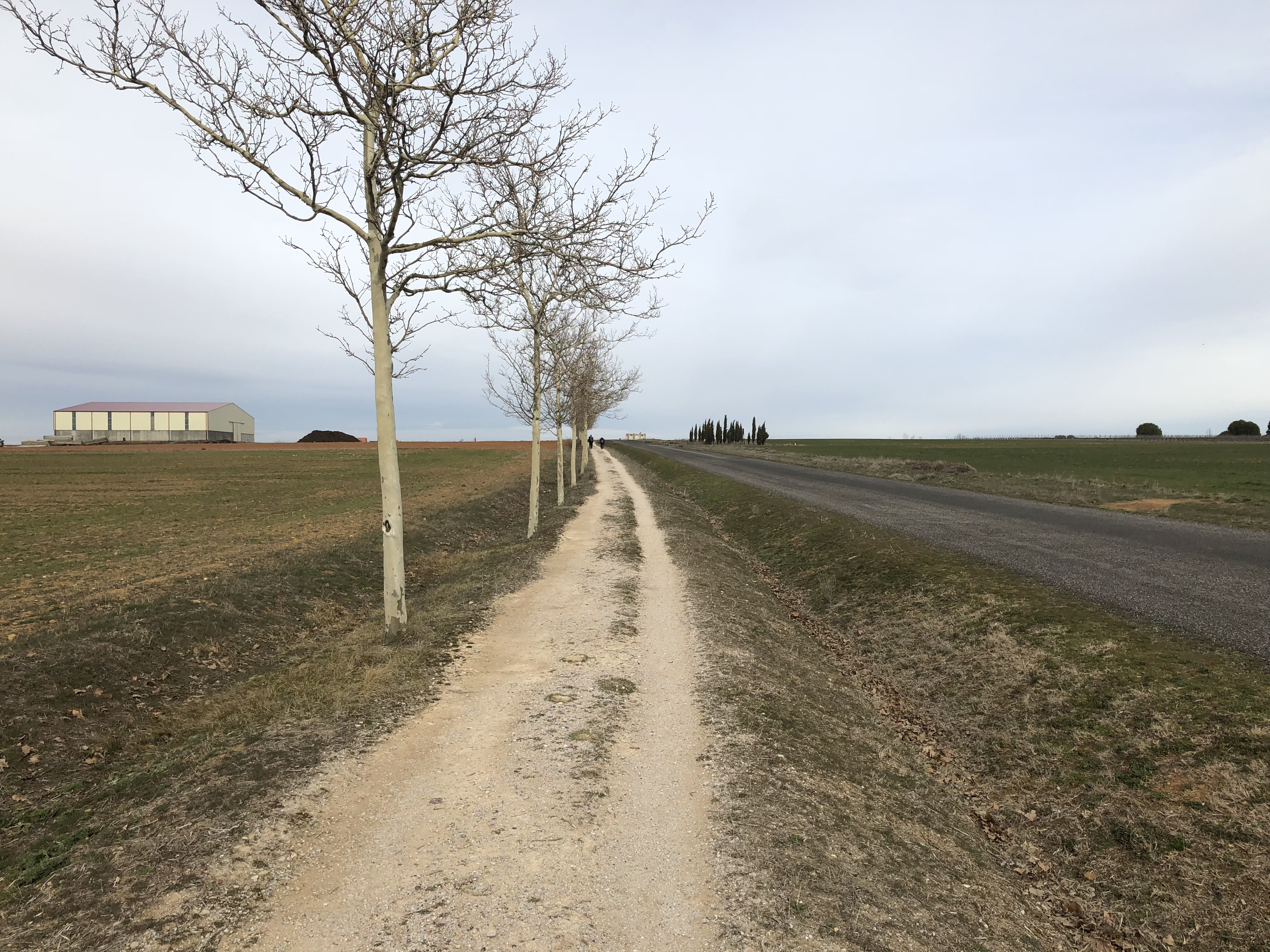 De Sahagún a Mansila de las Mulas