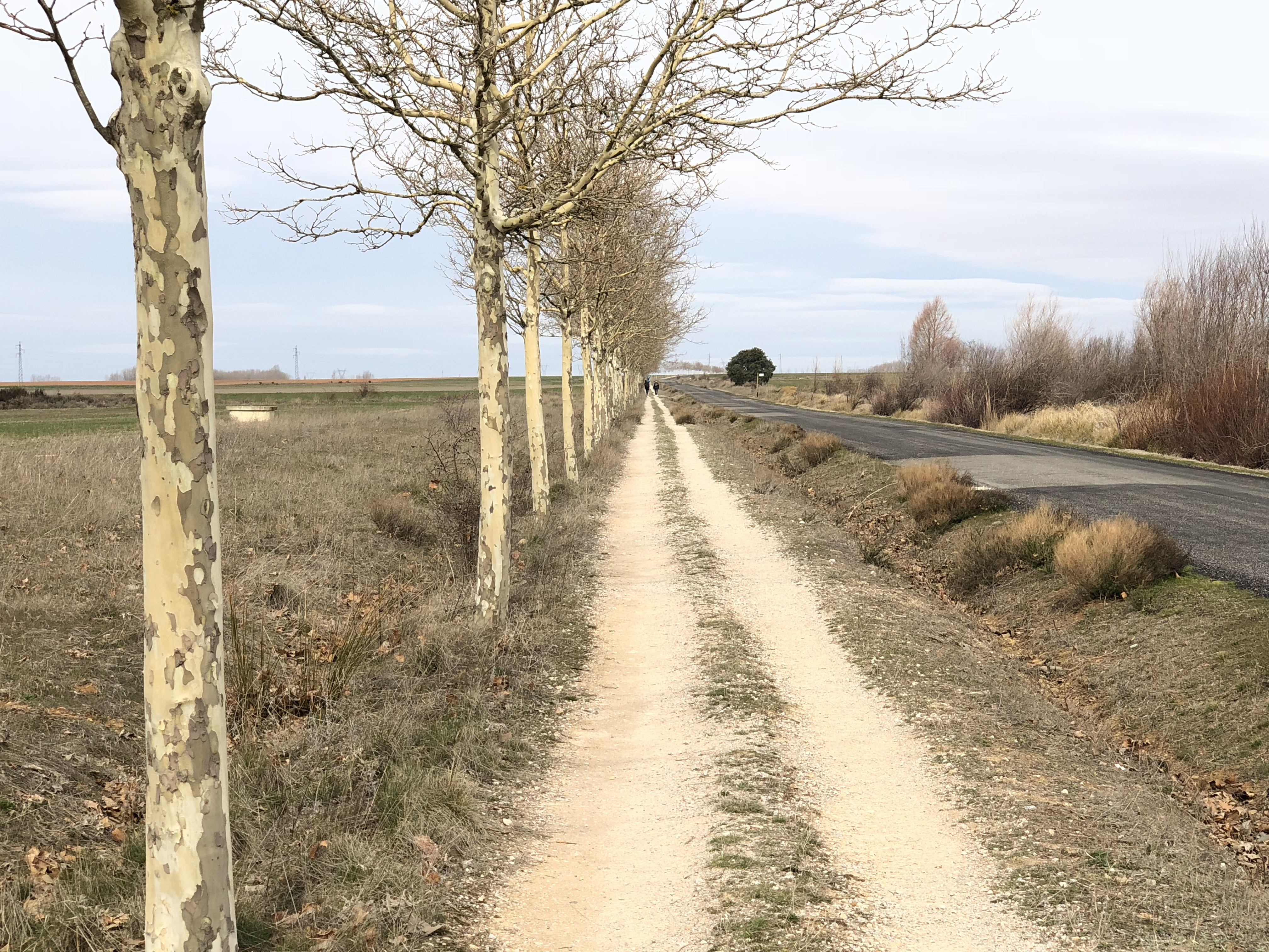 De Sahagún a Mansila de las Mulas