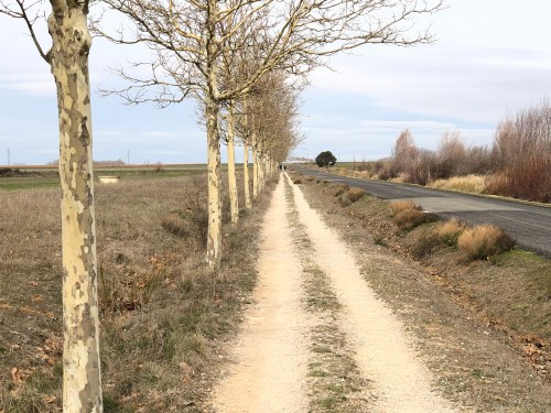 De Sahagún a Mansila de las Mulas